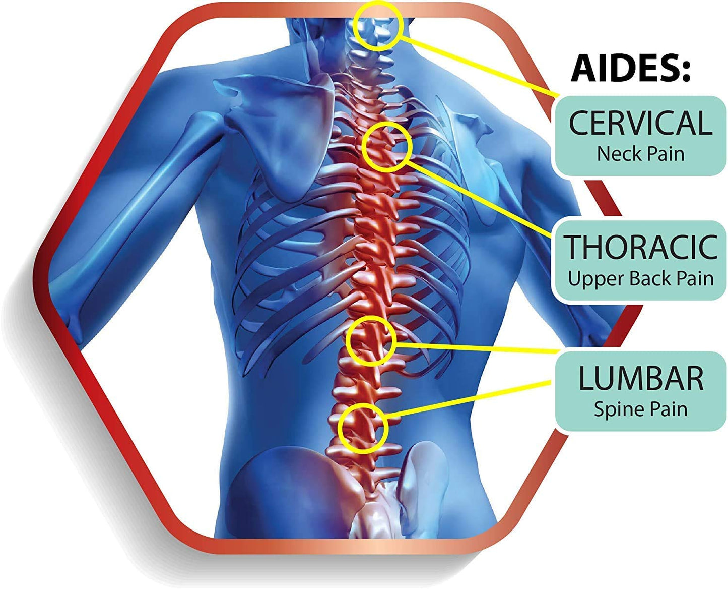 Stop posture support belt biofeedback lumbar back support belt stop lower back spine neck pain relief posture support belt for men & women